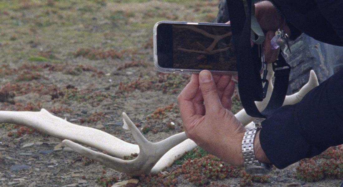 Svalbard foto af Eva la Cour